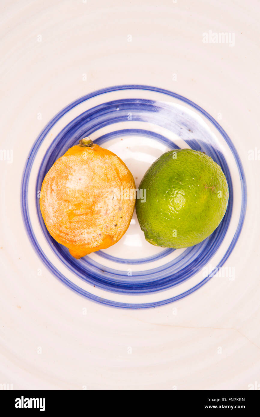 An old lime and a dried up lemon in a fruit bowl. Stock Photo