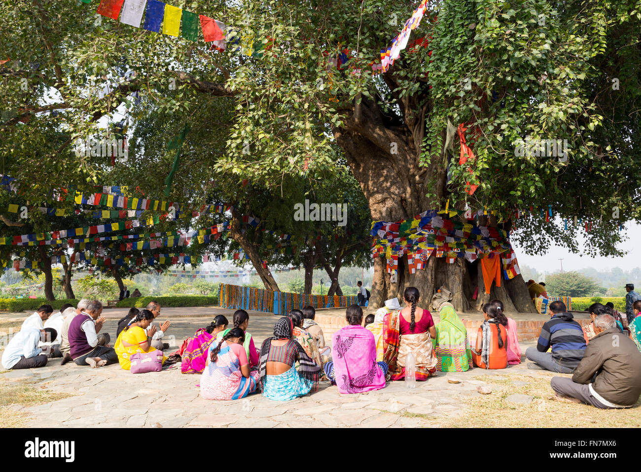 Lumbini, Nepal - November 27, 2014: Pilgrims praying under Bodhi tree at Buddhas birtplace. Stock Photo