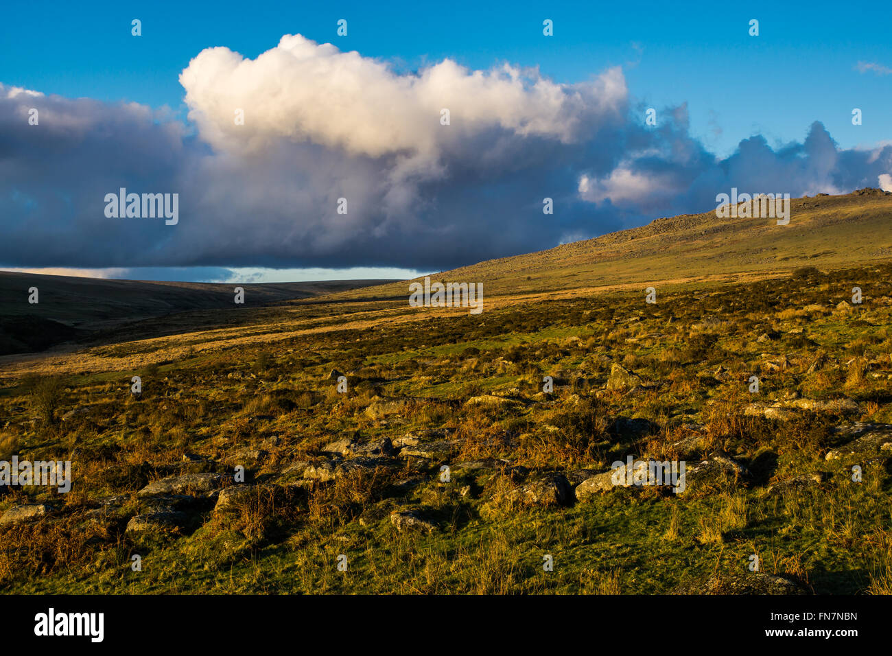 Fields, hills and grass in Dartmoor, England. Stock Photo