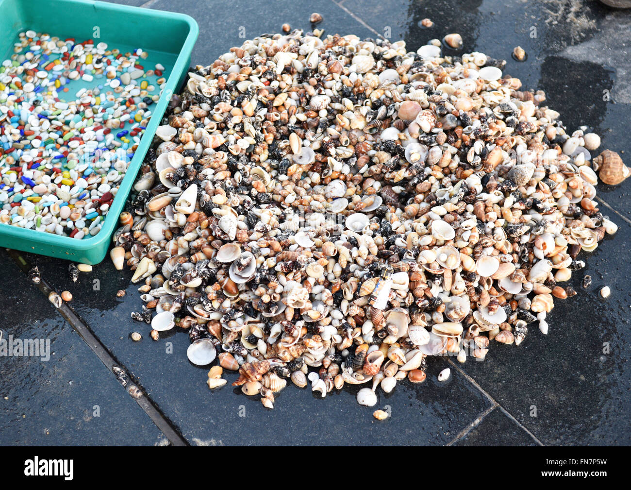 Display of variety of seashells, colored stones, gemstones, and gold collected from seabeds and beaches. Stock Photo