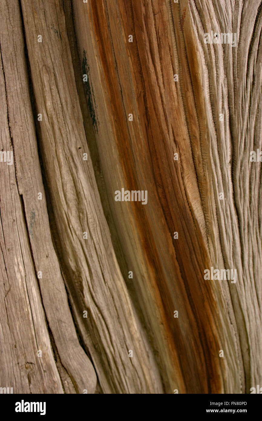 Pattern in timber Stock Photo - Alamy