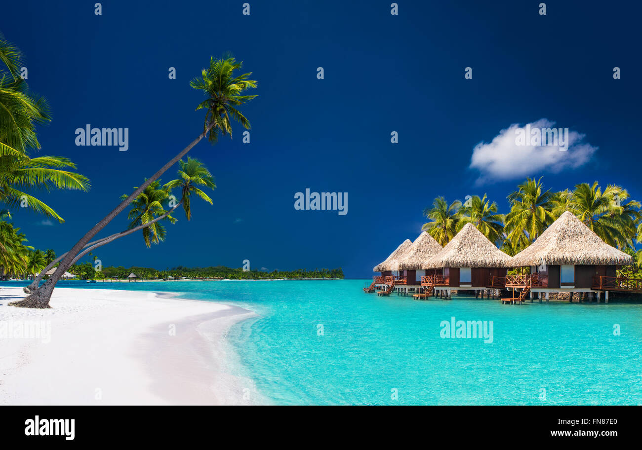 White sandy beach with palm trees on beach hi-res stock photography and ...