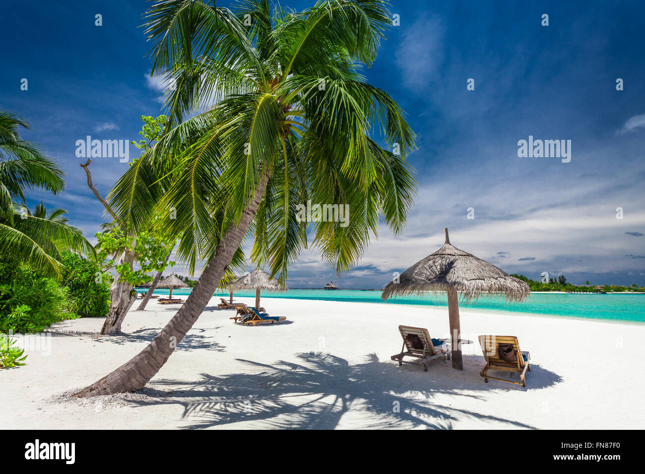 Beach coastline with palm trees hi-res stock photography and images - Alamy