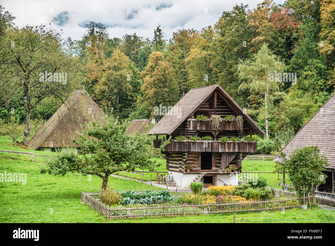 Farmhouse of Madiswil, Open Air Museum Ballenberg, Bern, Switzerland Stock Photo