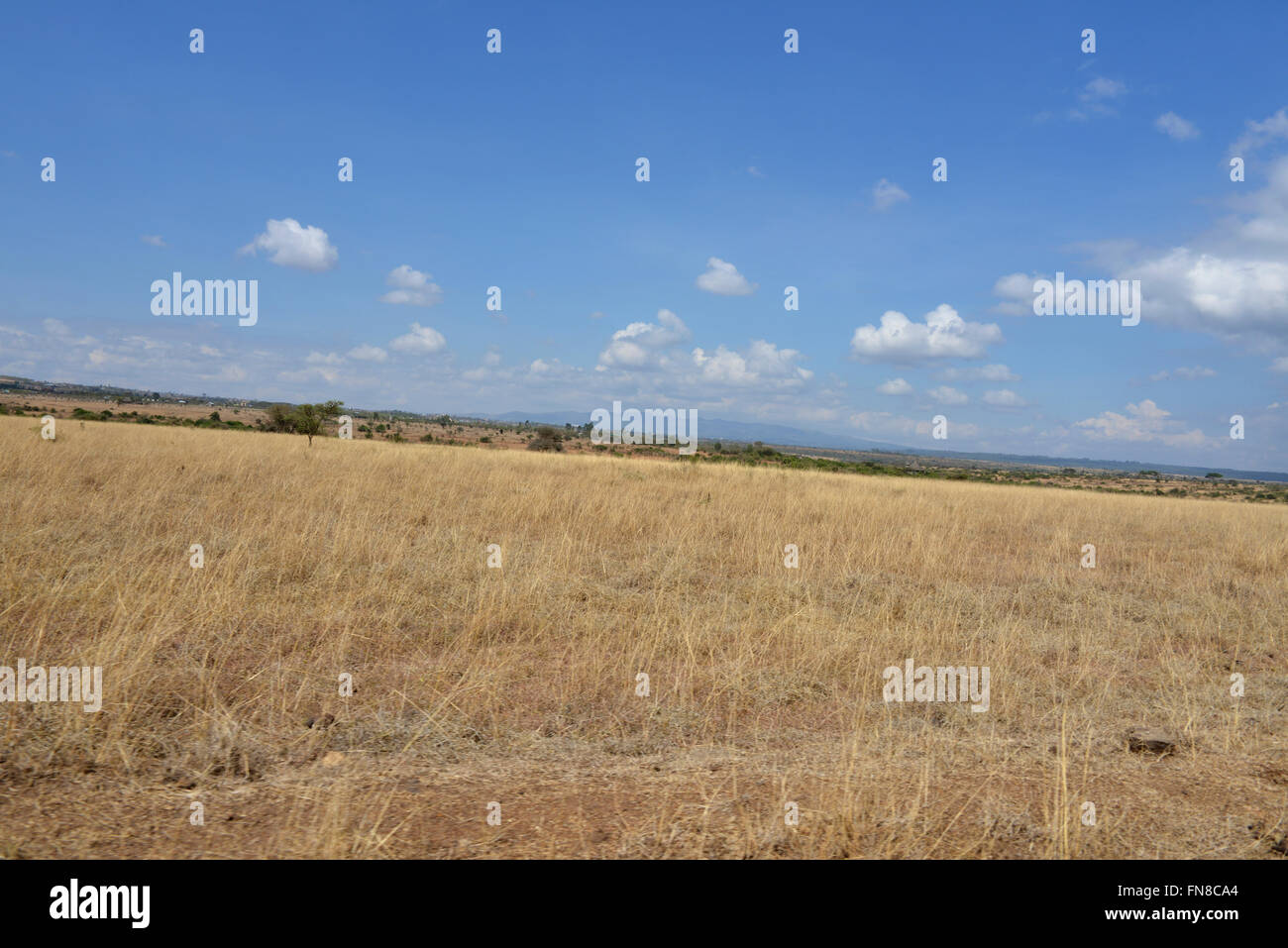 AFRICA Kenya The Ngong Hills from the shimmering heat of Nairobi