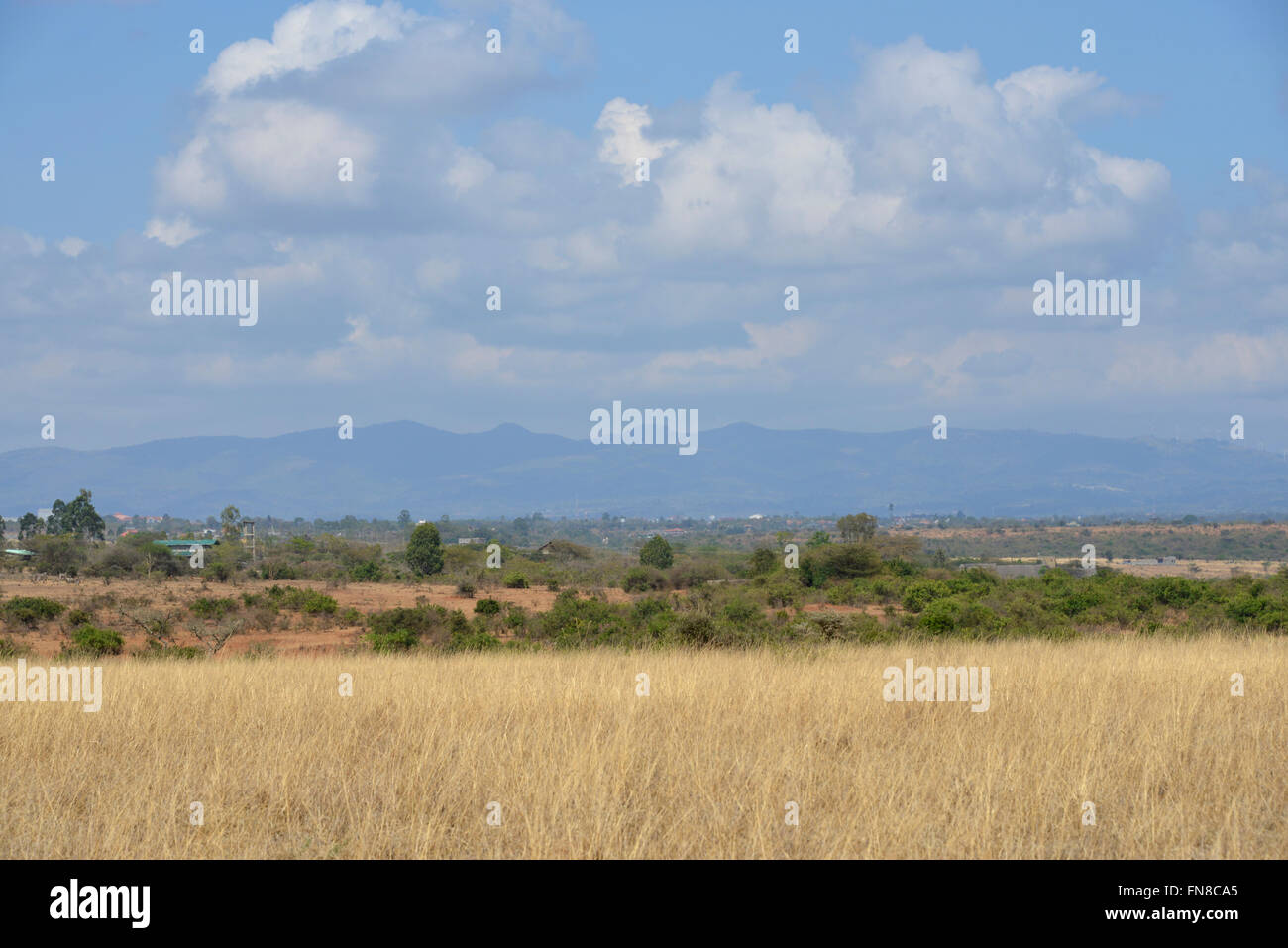 AFRICA: Kenya: The Ngong Hills from the shimmering heat of Nairobi National Park Stock Photo