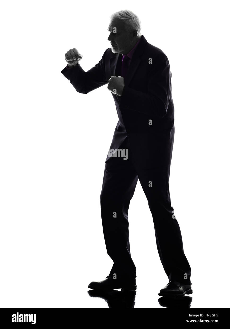 Punching the air hires stock photography and images Alamy