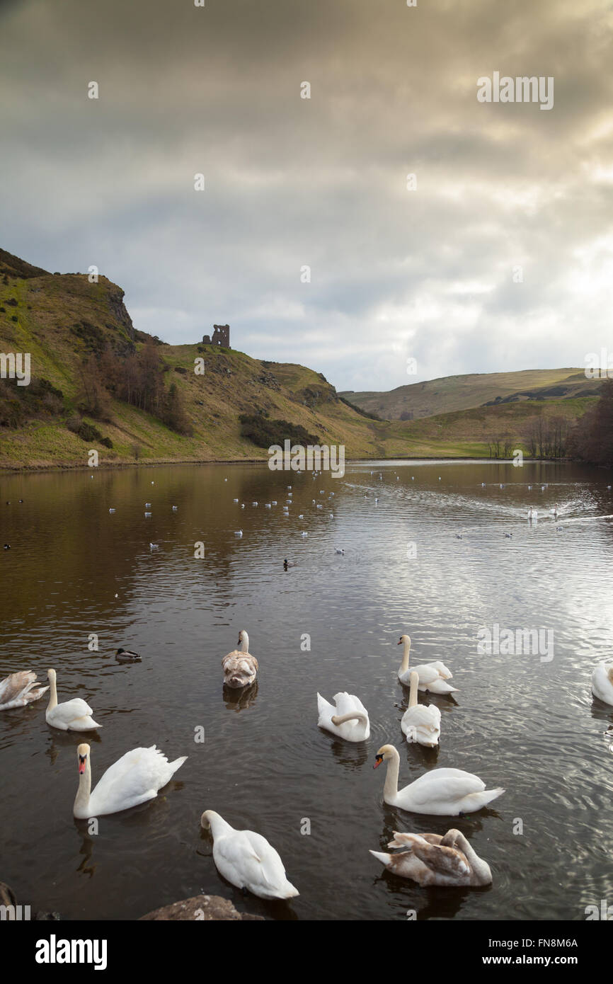 St Anthony's Chapel viewed over Margaret's Loch in Holyrood Park Edinburgh. Stock Photo