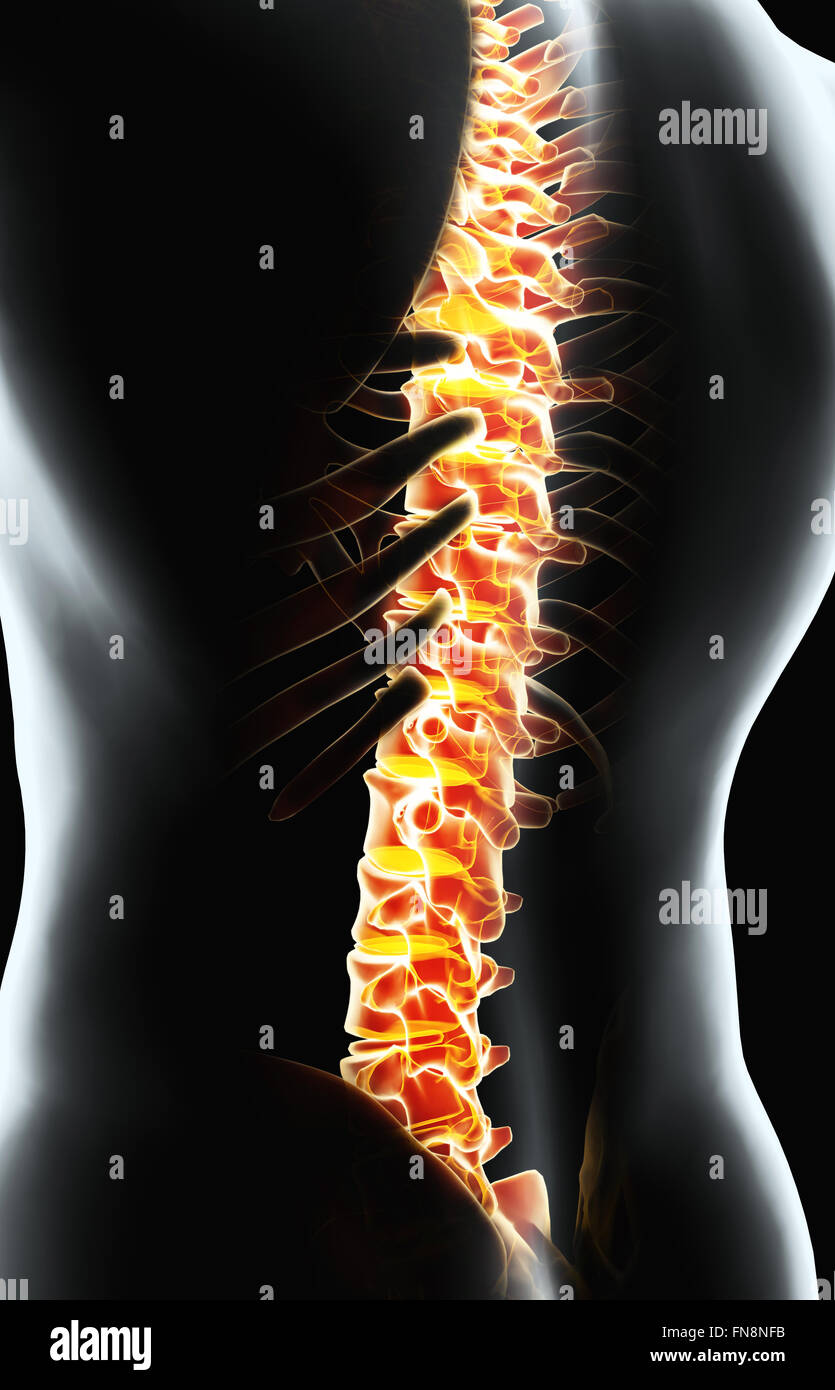 Human joint highlighted x ray hi-res stock photography and images - Alamy