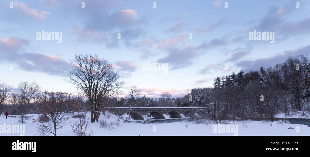 Forest landscape in winter Stock Photo - Alamy