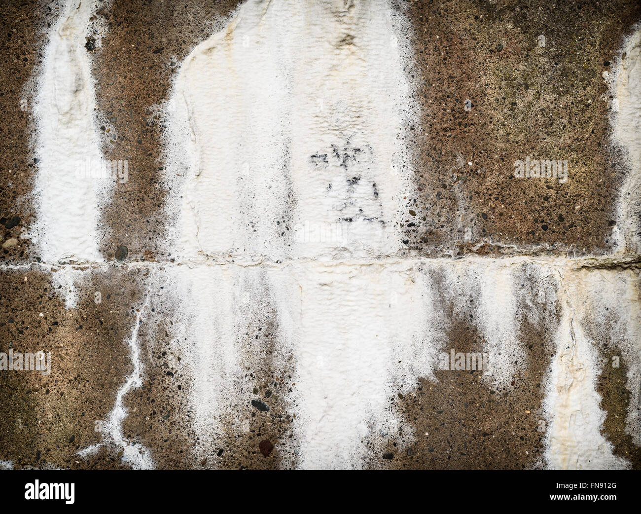 Concrete wall with efflorescence salt seepage Stock Photo Alamy