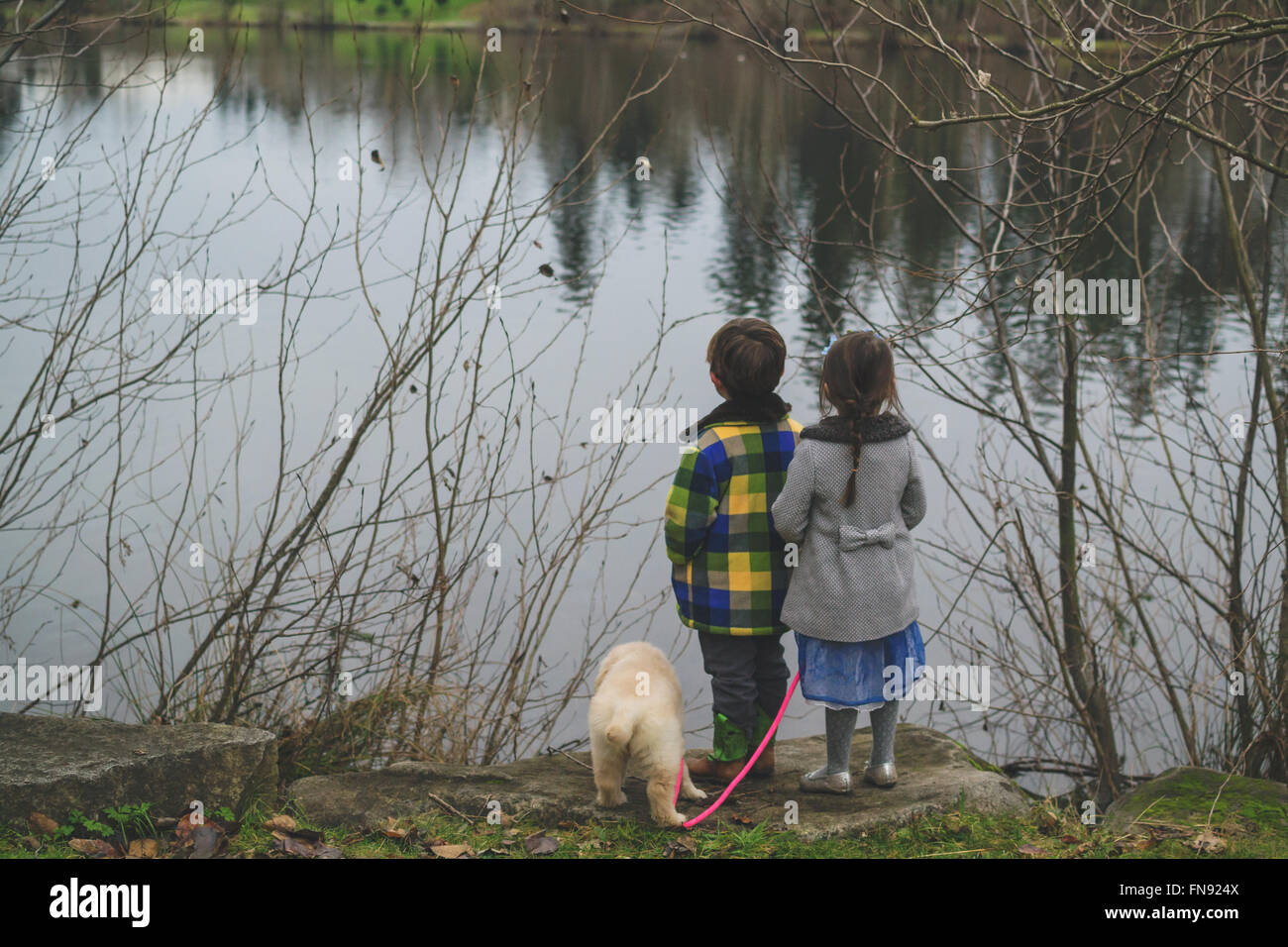 Boy, girl and golden retriever puppy dog standing at water's edge Stock Photo
