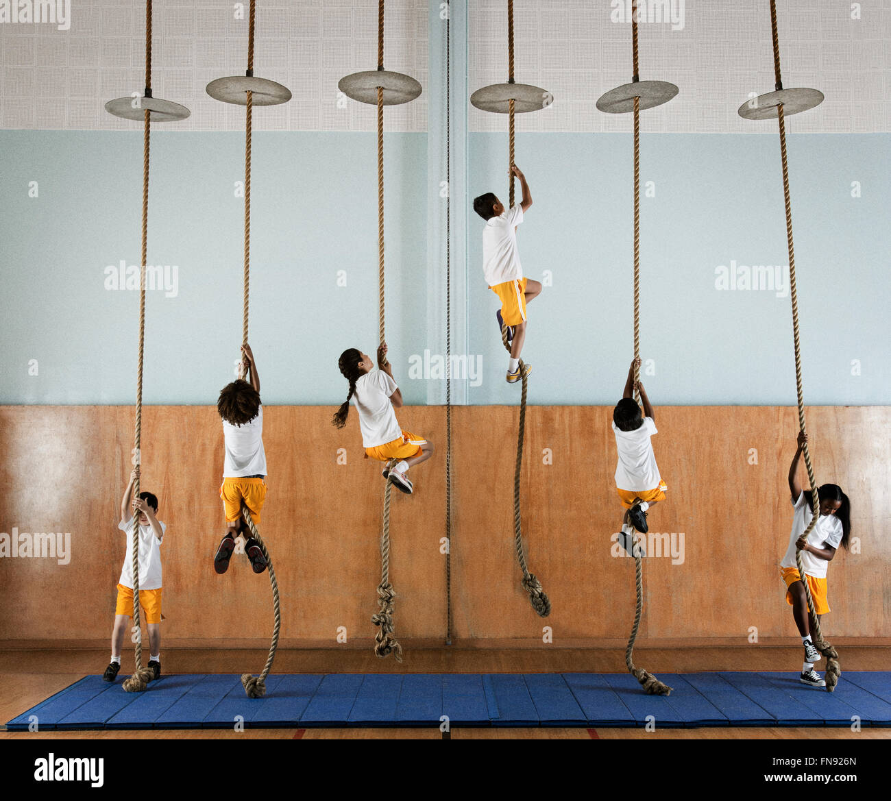 A group of children in a gym climbing up the ropes. Stock Photo