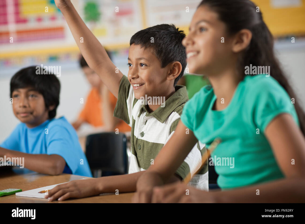 A group of young girls and boys in a classroom, classmates. A boy with his hand raised. Stock Photo