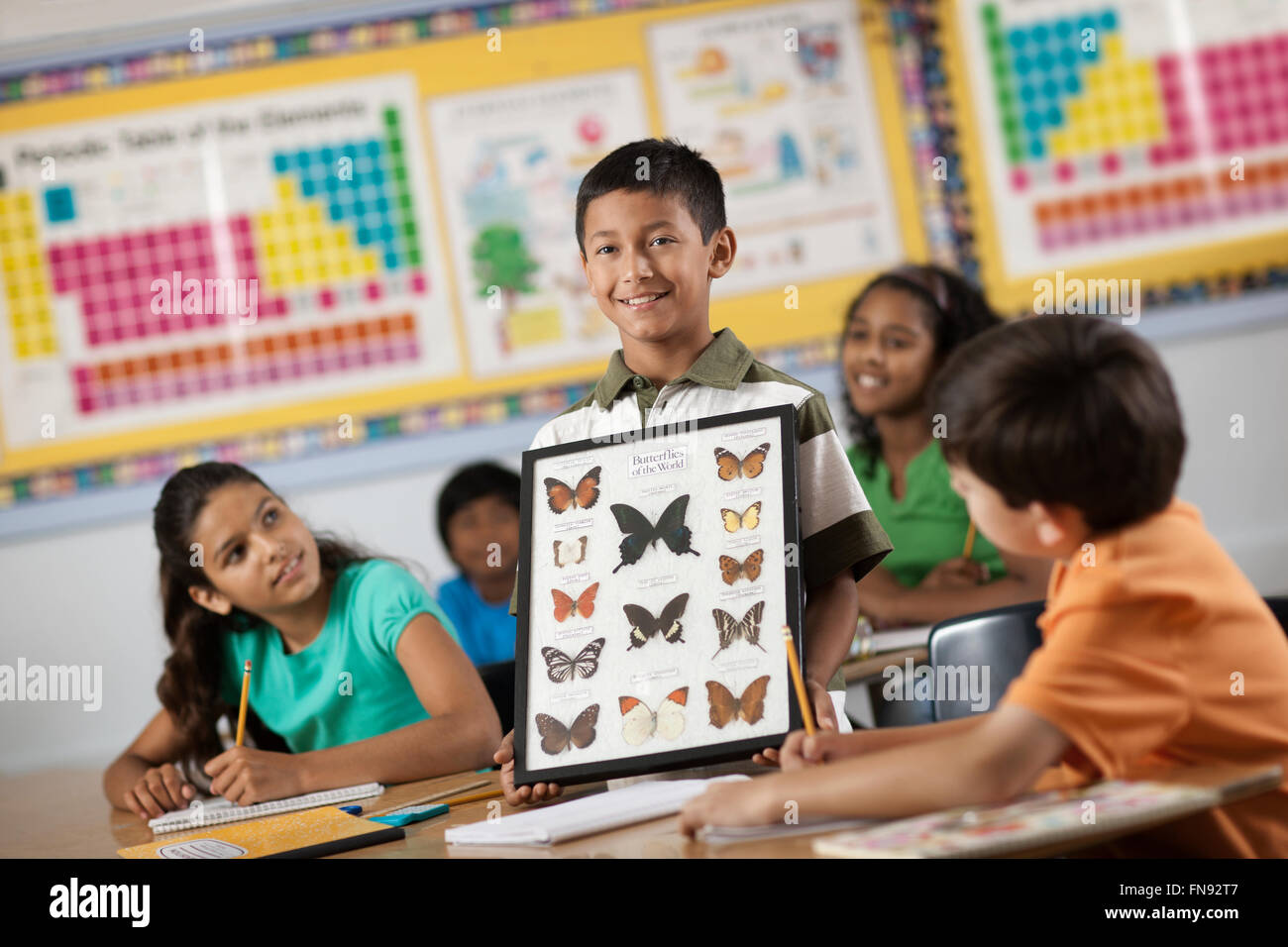 A boy standing in front of classmates, holding up a frame with butterfly specimens. Stock Photo