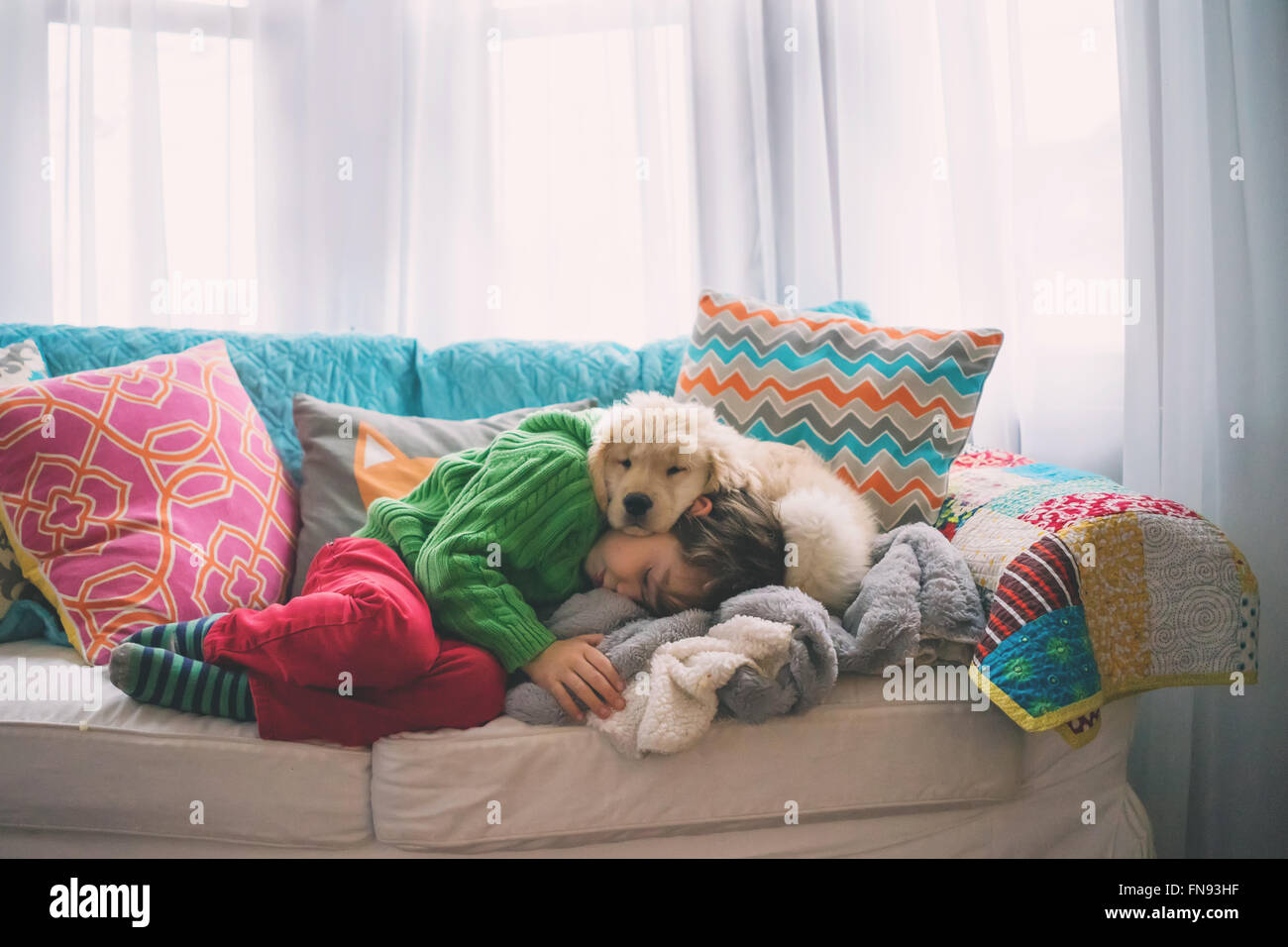Boy sleeping on sofa with golden retriever puppy dog Stock Photo