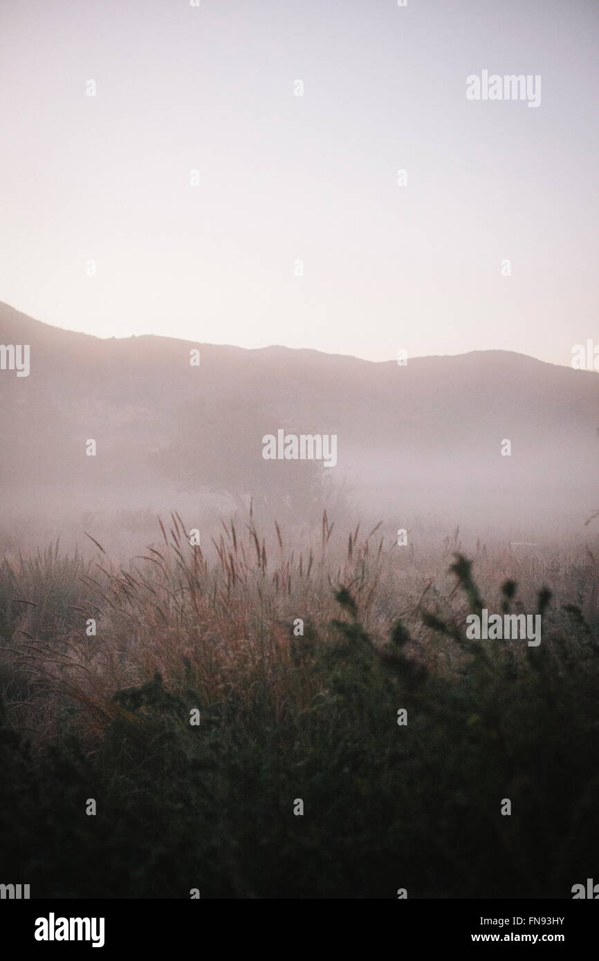 Mist rising from the river in dawn light. Stock Photo