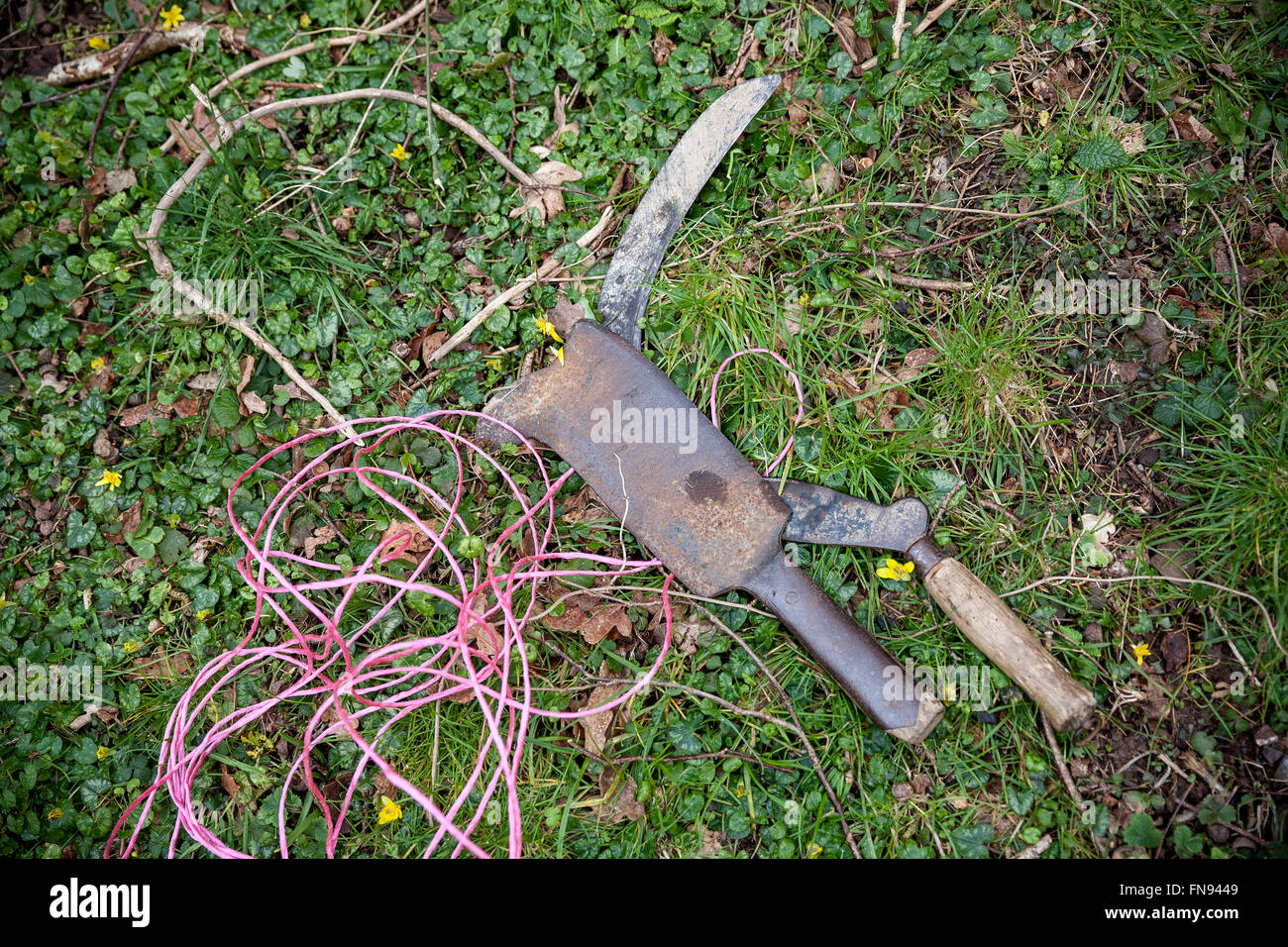 Hedge laying equipment, axe, background, billhook, blade, burn, cleaver, cut, cutter, dagger, equipment, farmer, firewood, Stock Photo