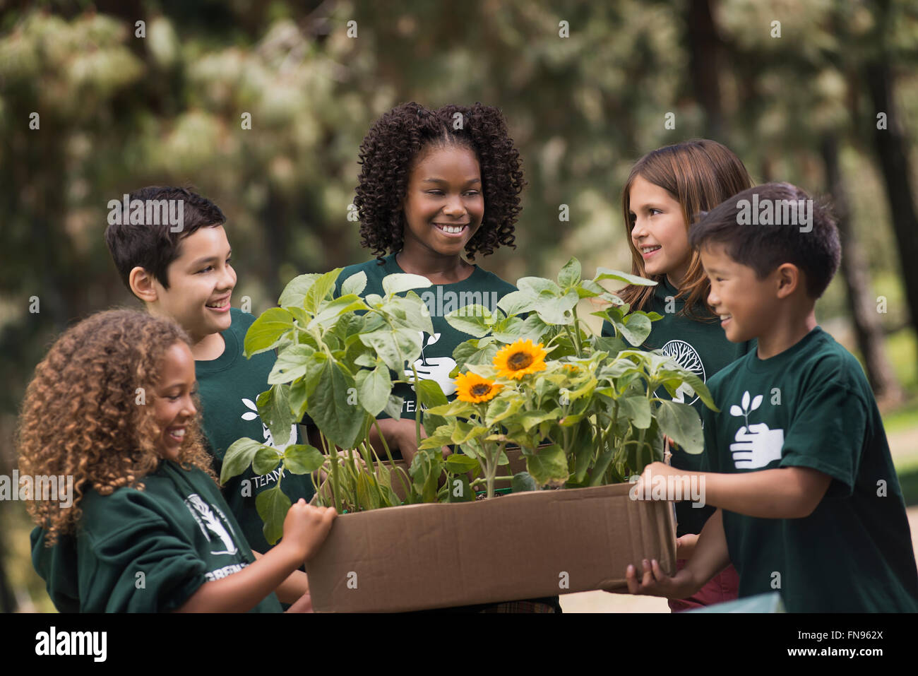 Children in a group learning about plants and flowers looking at sunflowers and young plants. Stock Photo