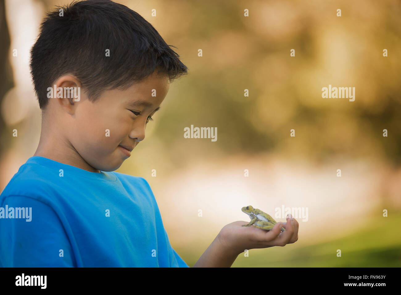A boy holding a frog in the palm of his hand. Stock Photo