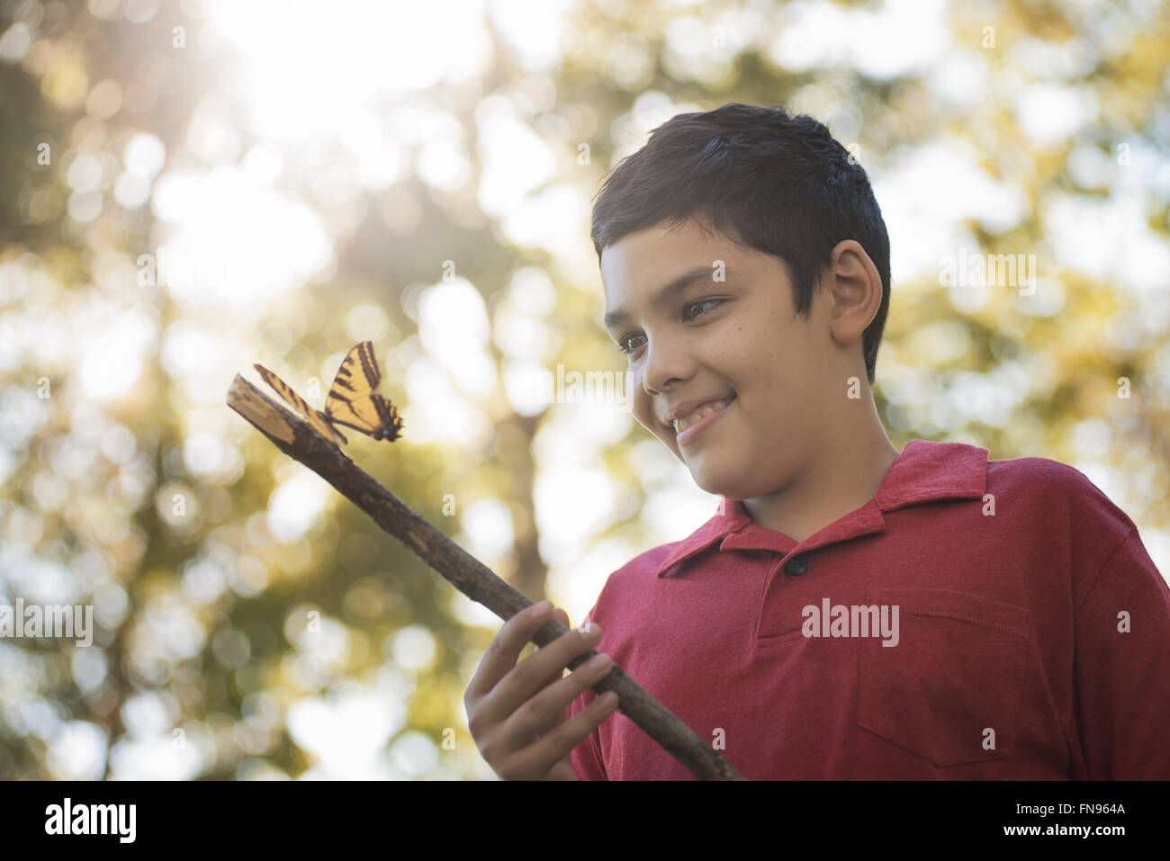 A boy holding a stick with a colourful butterfly perched on it. Stock Photo