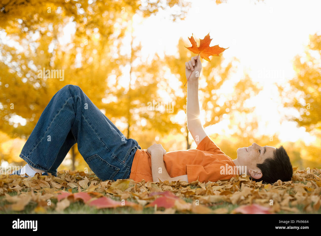 A boy lying on his back holding a maple leaf up to the autumn sun. Stock Photo