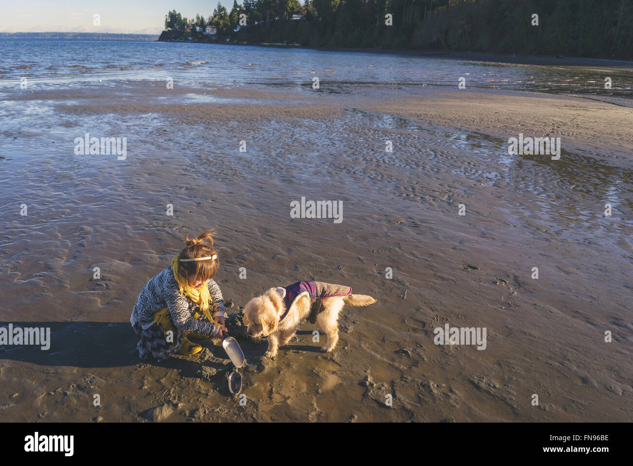 Girl with golden retriever puppy dog digging on beach Stock Photo
