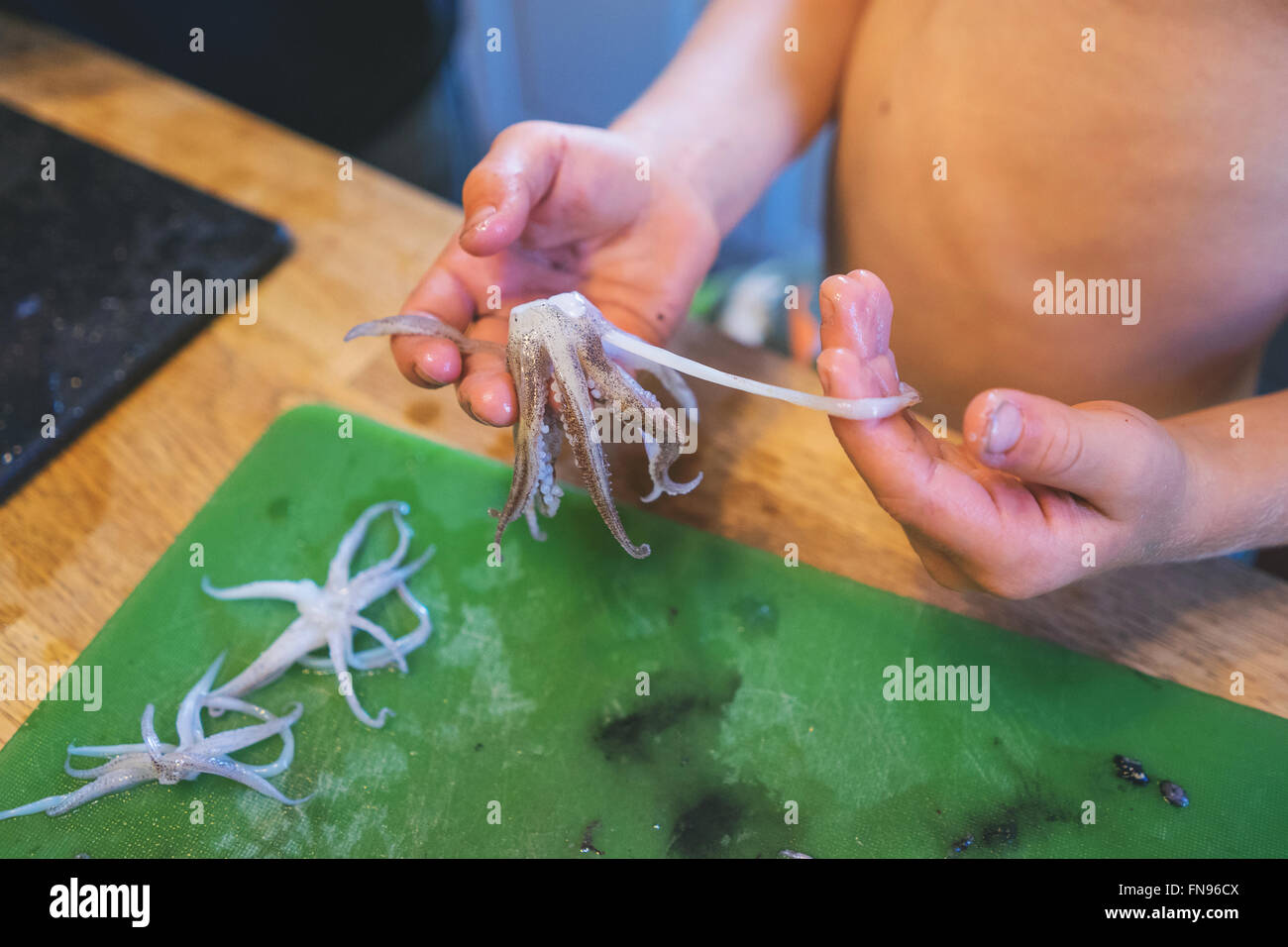 Boy cleaning squid tentacles Stock Photo