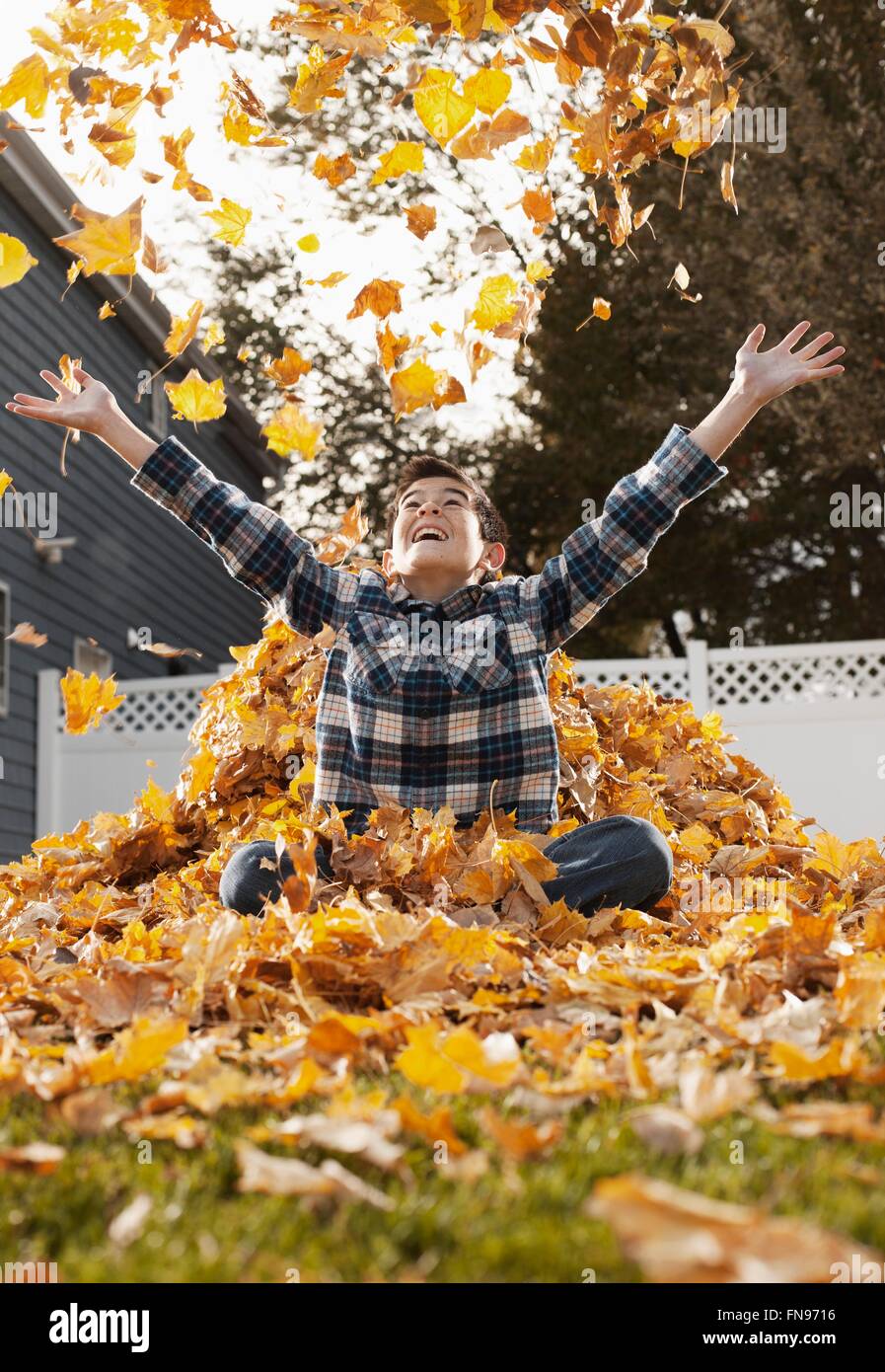 A young boy playing in a huge pile of raked autumn leaves. Stock Photo