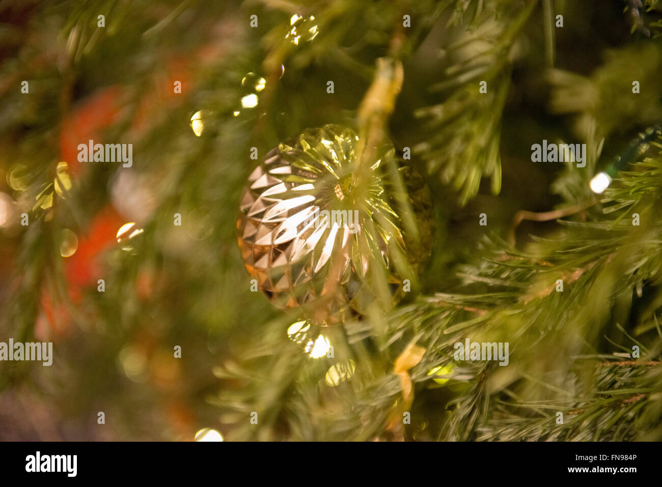 Real Christmas Pictures 