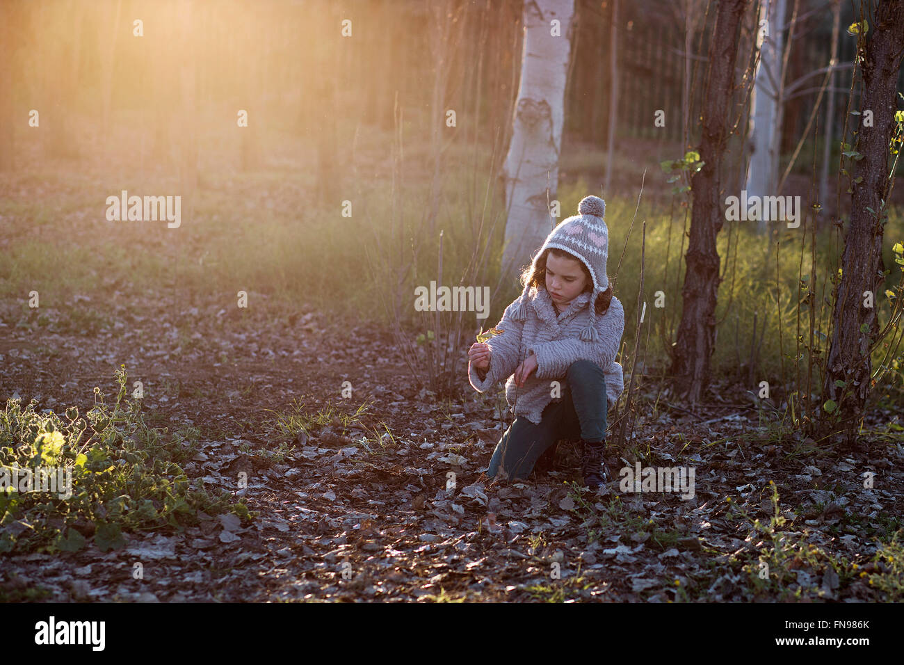 Girl holding autumn leaf in forest Stock Photo - Alamy