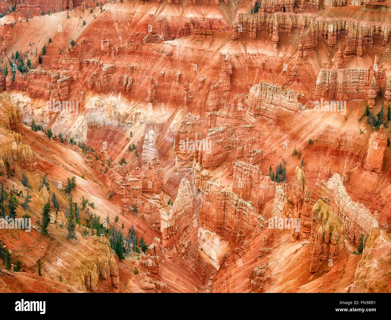 Canyon lands in Cedar Breaks National monument, Utah Stock Photo