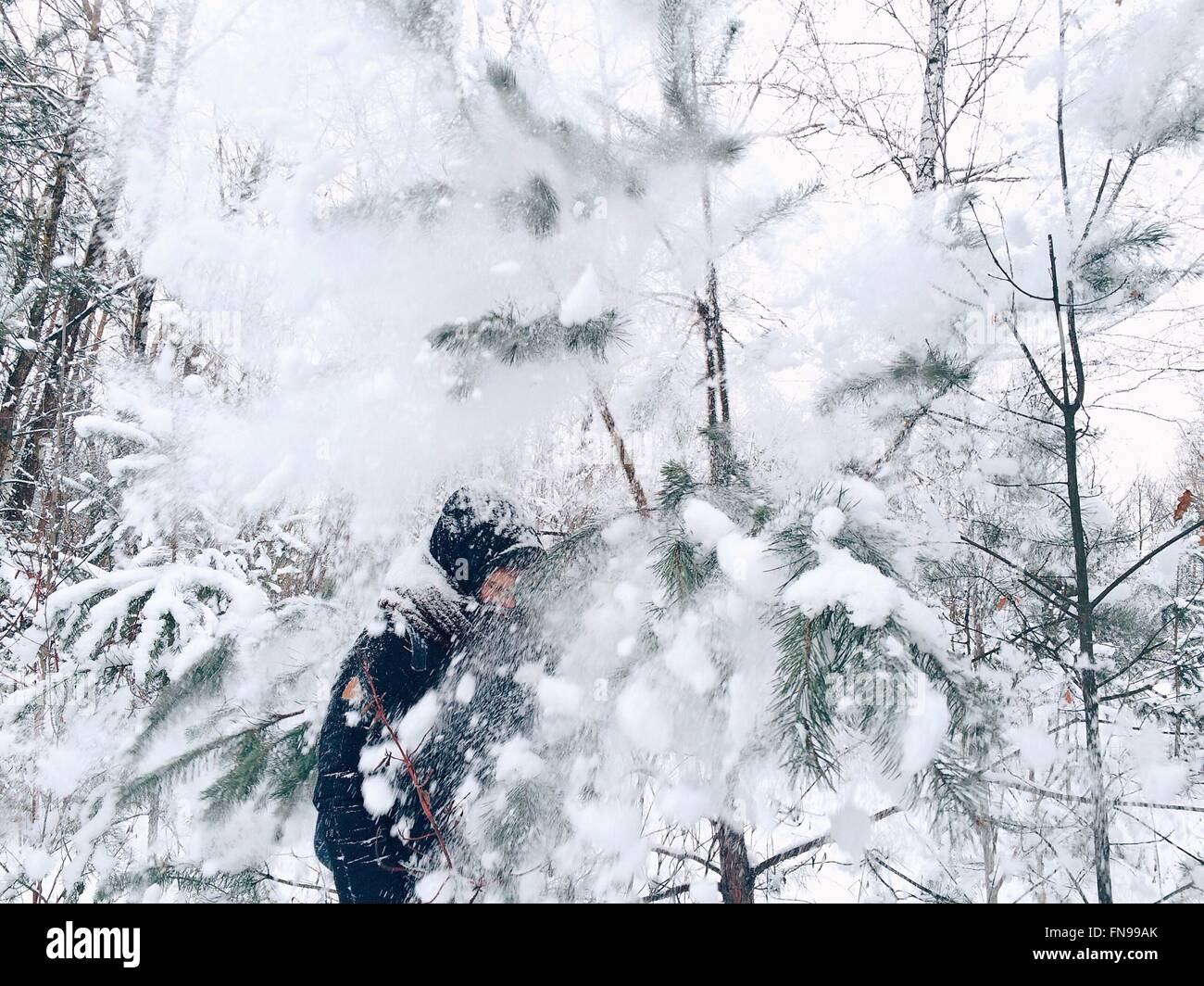 Walking between trees hi-res stock photography and images - Alamy