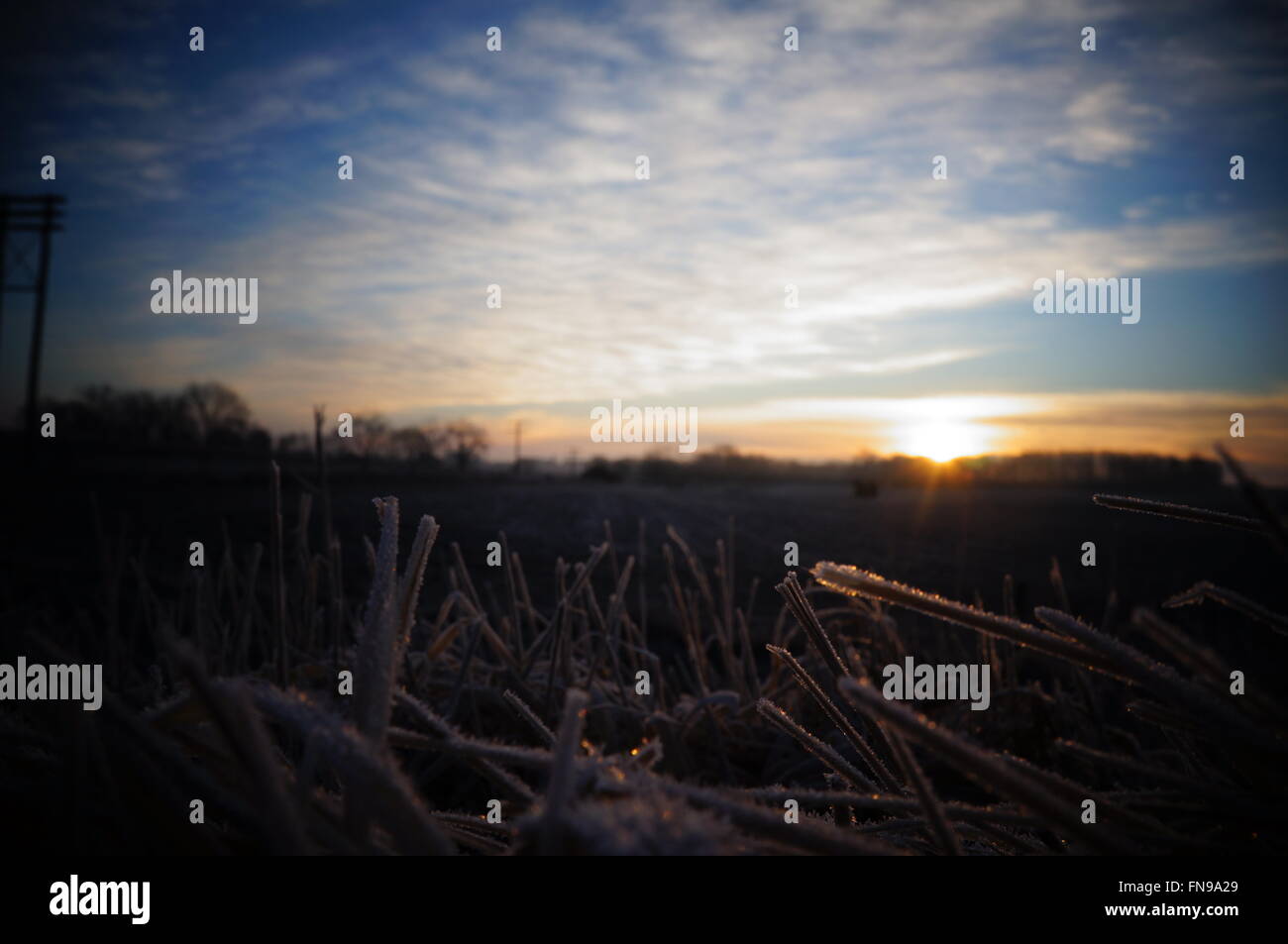 Morning frost, earth meets sky, sunrise, blue sky, energy, love, clouds, peace, harmony, lay with me, crisp. Stock Photo