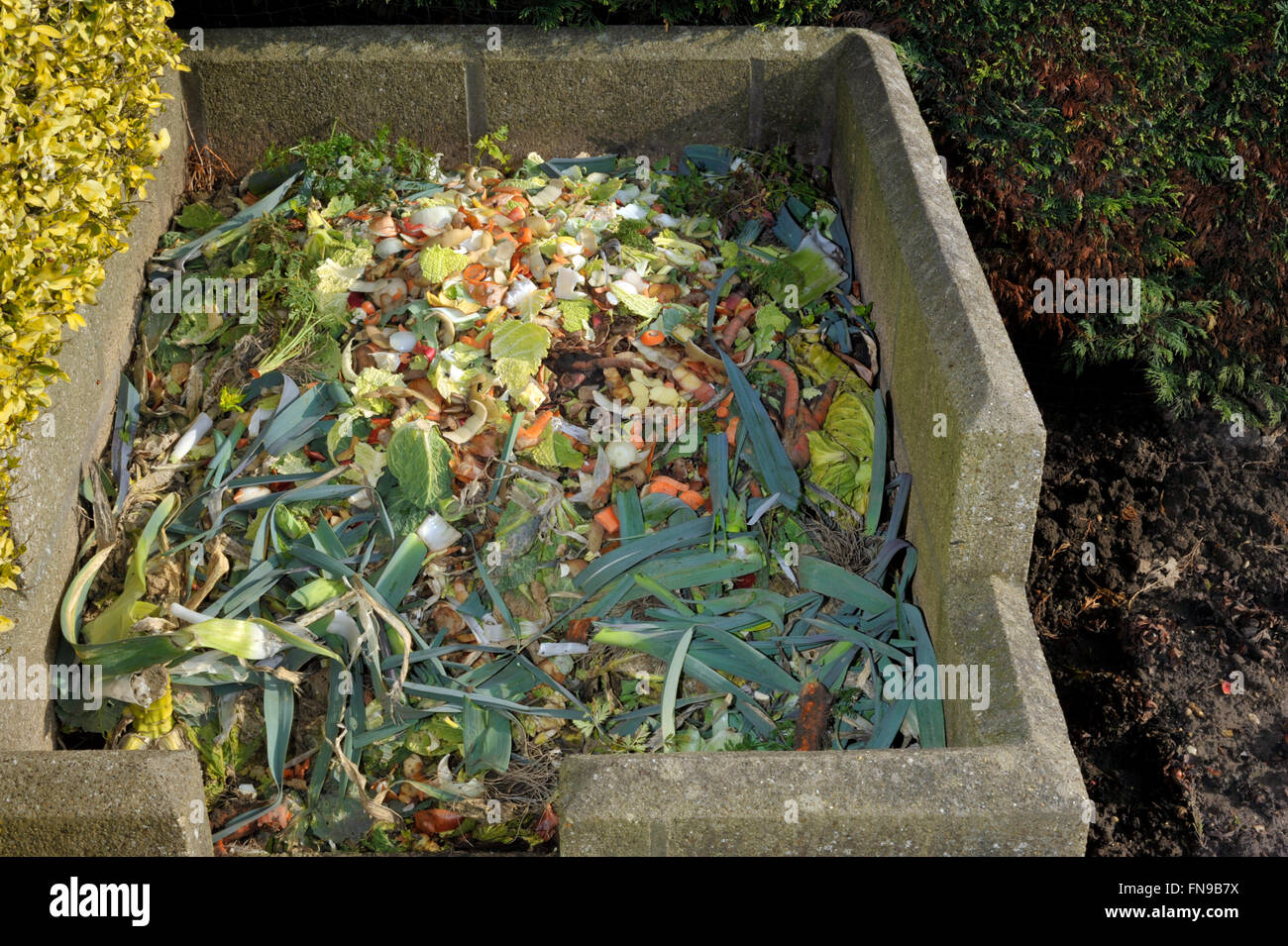 Garden compost heap with kitchen food waste, vegetables, fruit peel and green refuse. Stock Photo