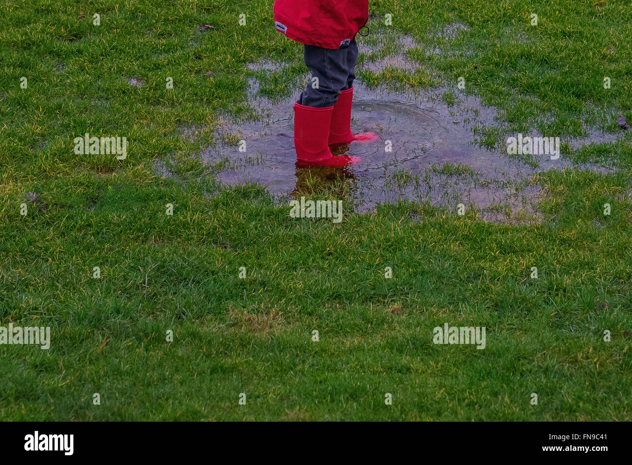 Low section of a boy standing in a puddle Stock Photo