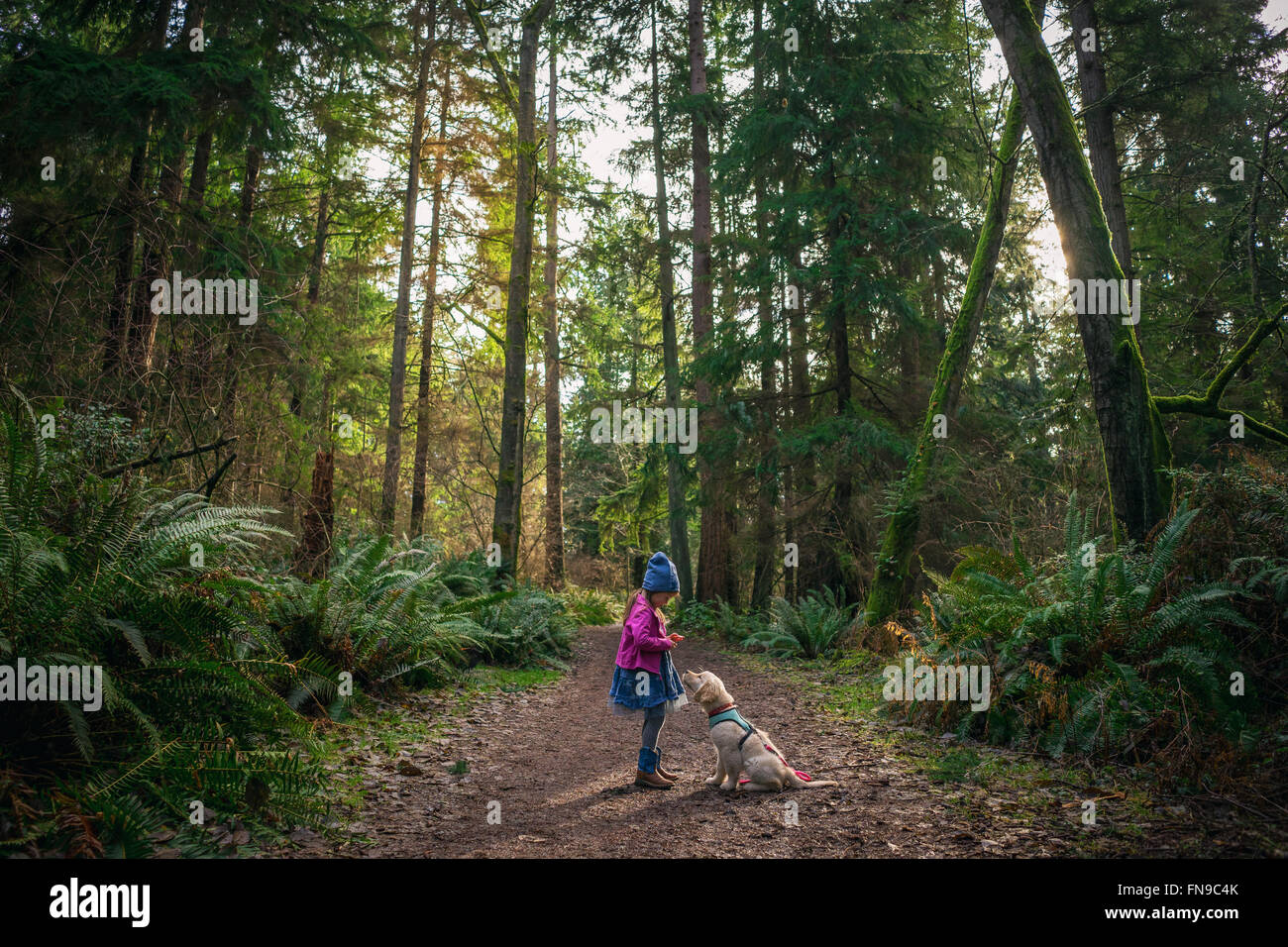 Girl standing in forest with golden retriever puppy dog Stock Photo