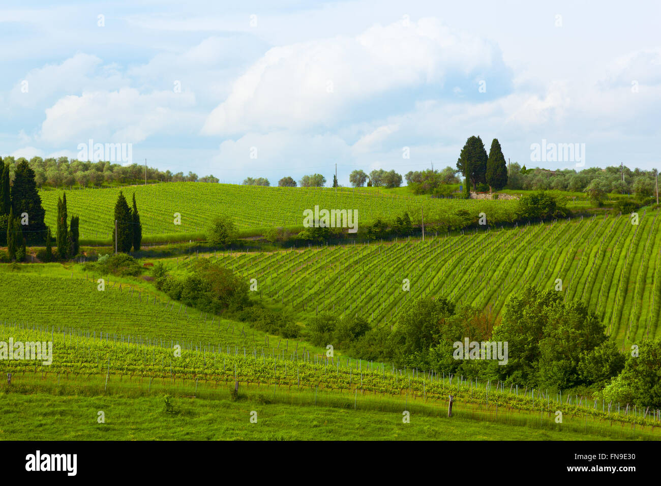 Italy Landscae Rural Rural landscape of tuscany hi-res stock photography and images - Alamy
