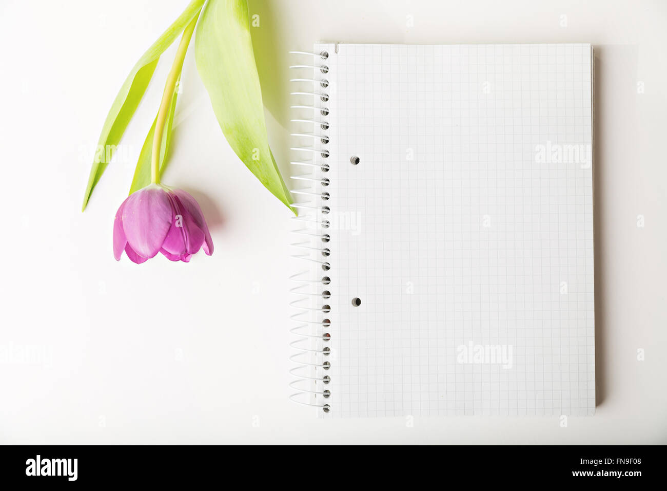notebook and flower on white table, copy space Stock Photo
