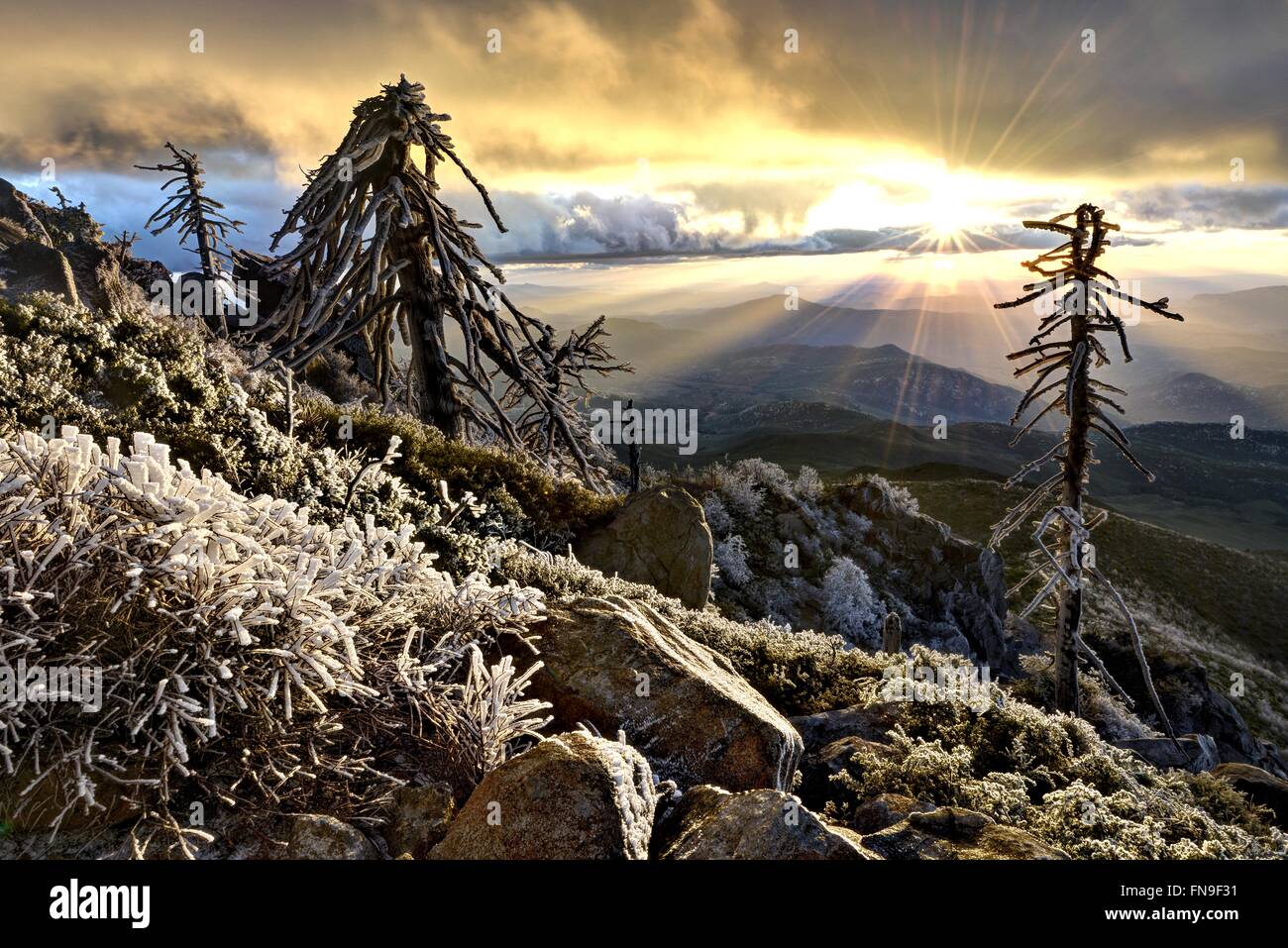 Cuyamaca Rancho State Park at sunset, California, United States Stock Photo