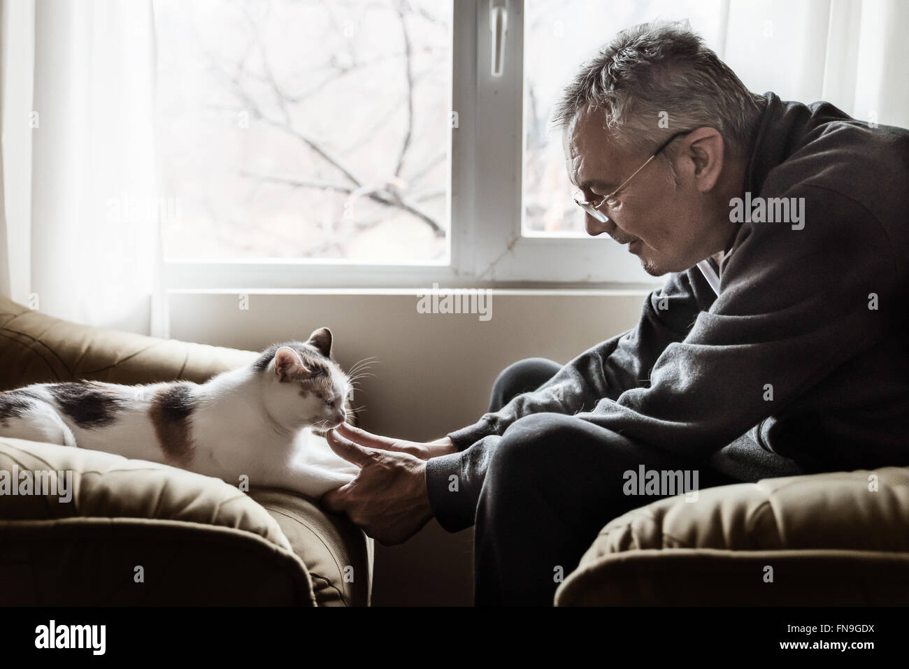 Man holding cat's paws Stock Photo