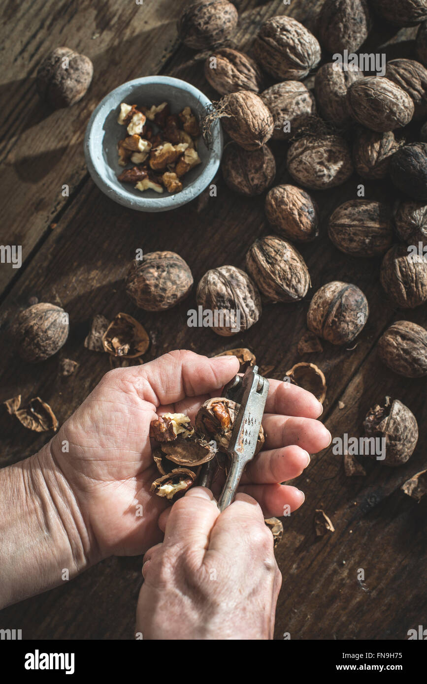 Close up of a senior woman cracking walnuts Stock Photo