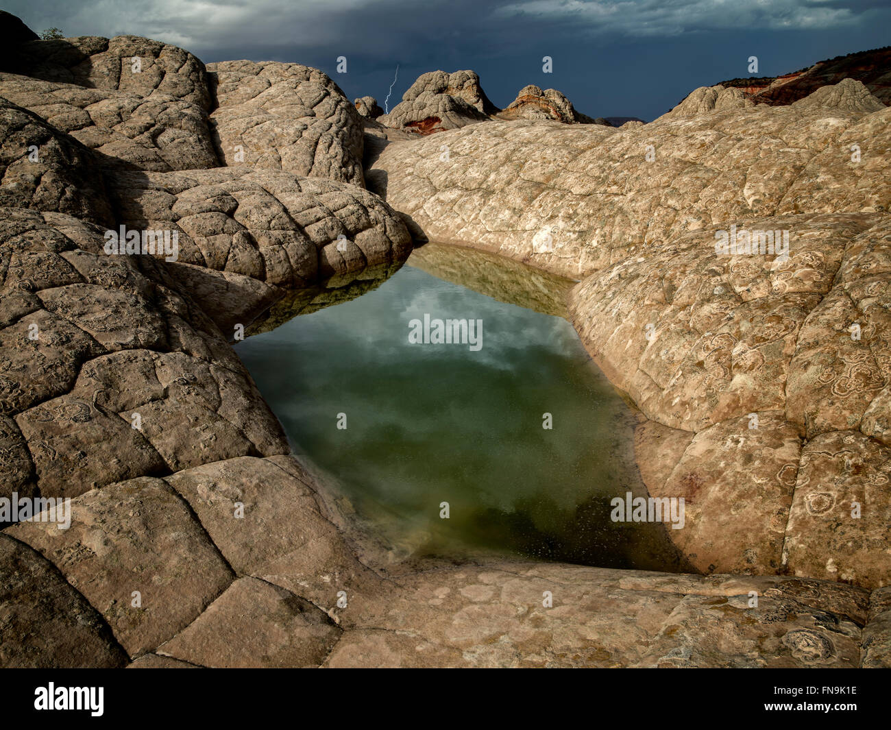 White Pocket with rain water pools. Vermilion Cliffs National Monument, Arizona Stock Photo