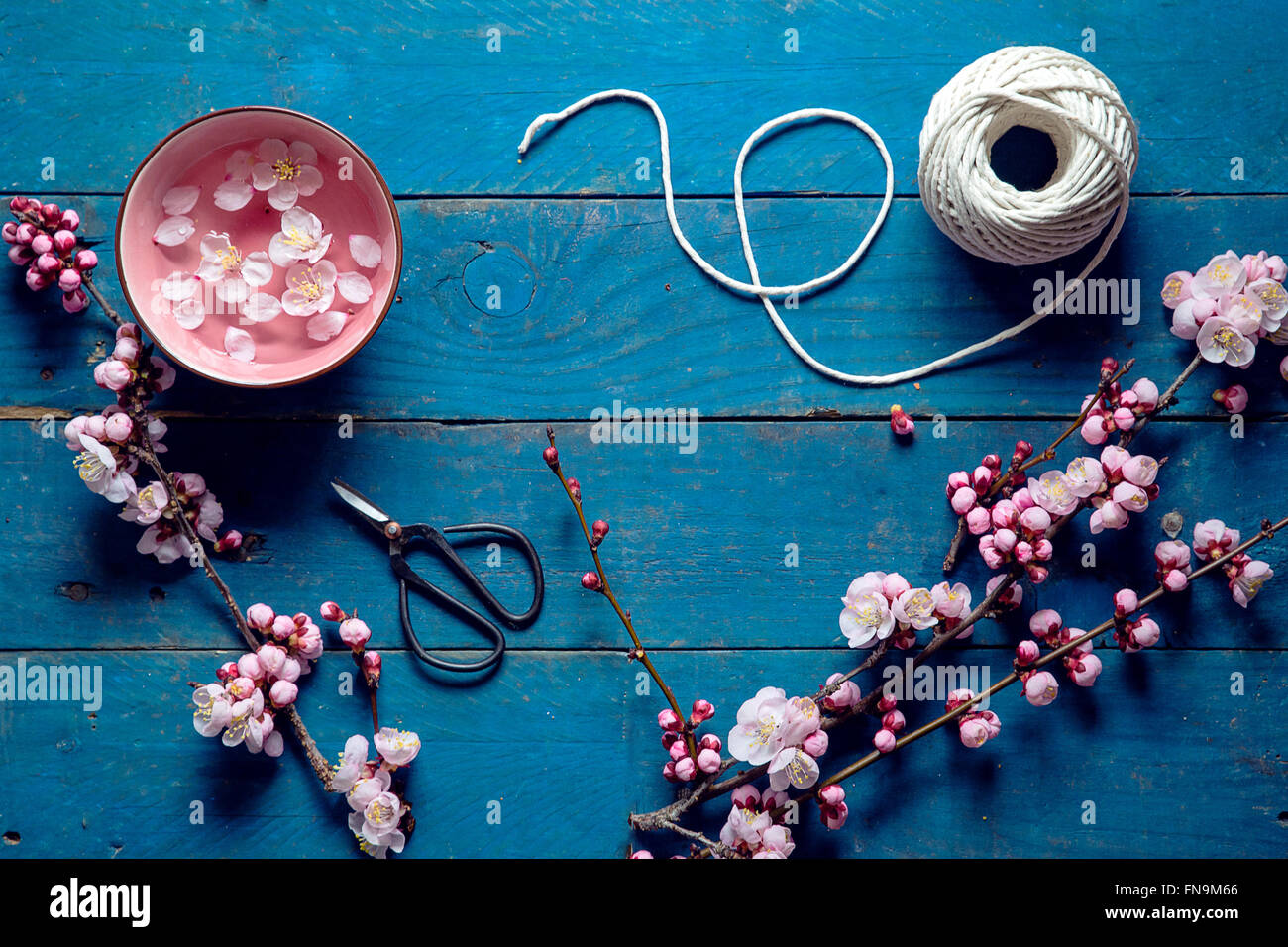 pink cherry blossom, scissors and string Stock Photo
