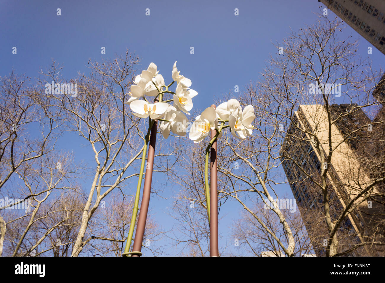 Isa Genzken's 'Two Orchids' are a harbinger of spring during its exhibit in the Doris C. Freedman Plaza of Central Park in New York on Sunday, March 6, 2016.  The 28 and 34 foot tall sculpture is constructed of stainless steel. The exhibition is sponsored by the Public Art Fund and will be on view until August 21, 2016.  (© Richard B. Levine) Stock Photo