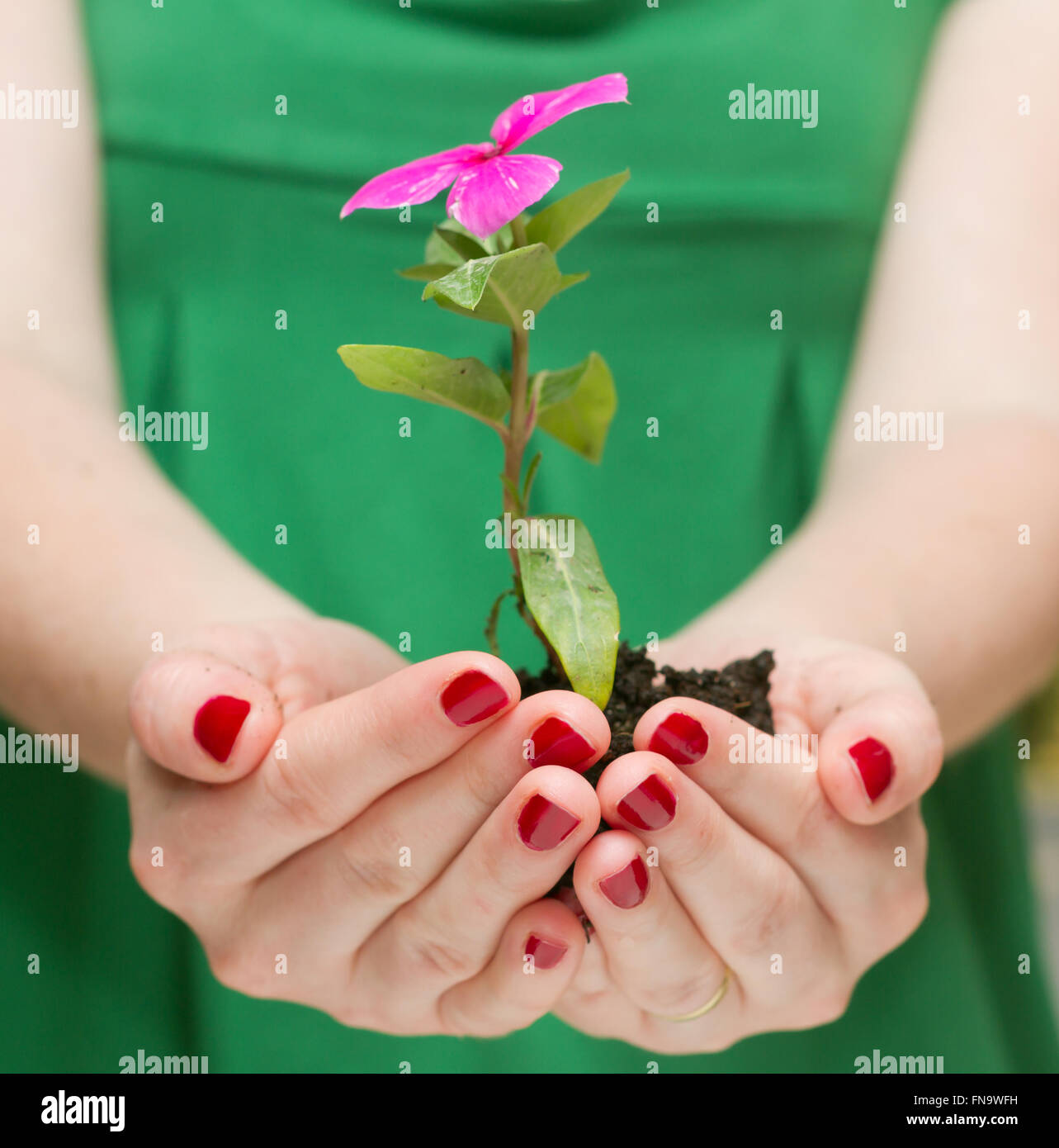 Human growth hi-res stock photography and images - Alamy