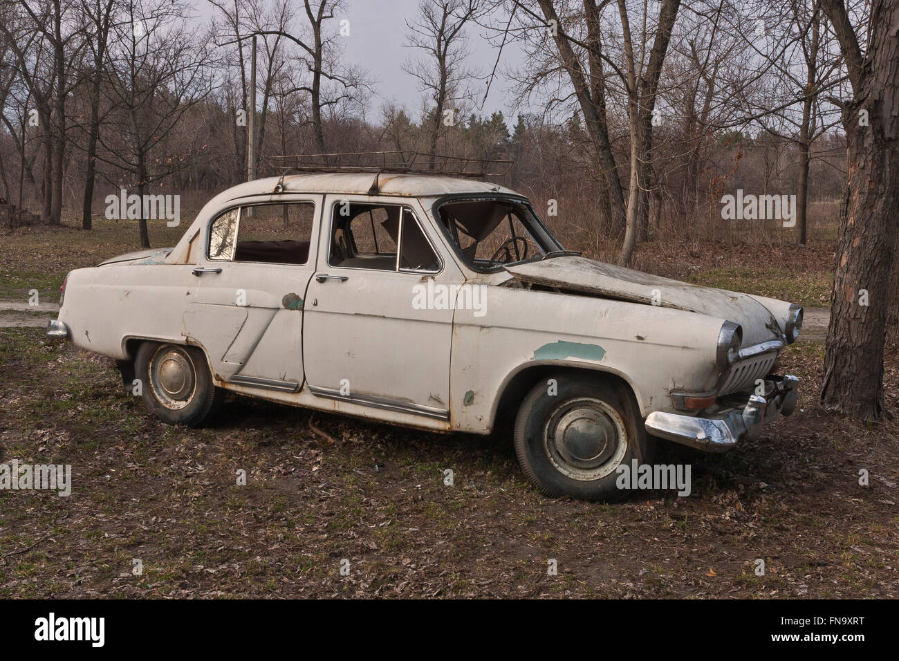 An old broken soviet car in thin forest environment Stock Photo