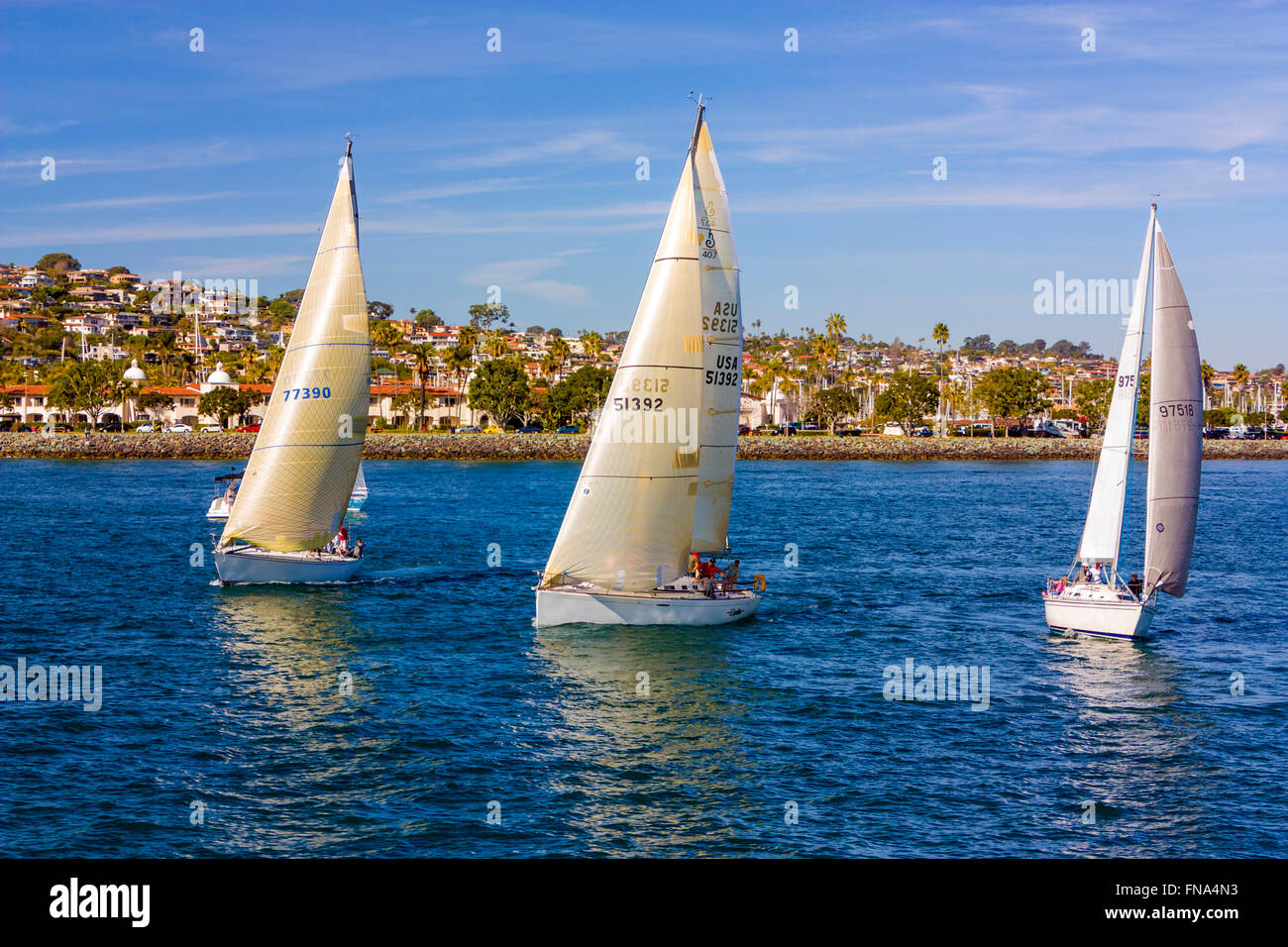 Sailboats in San Diego Bay Stock Photo Alamy