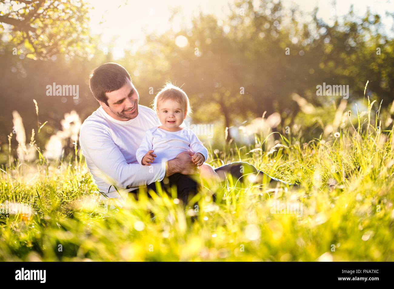 Father holding his little son, sitting on the grass Stock Photo - Alamy
