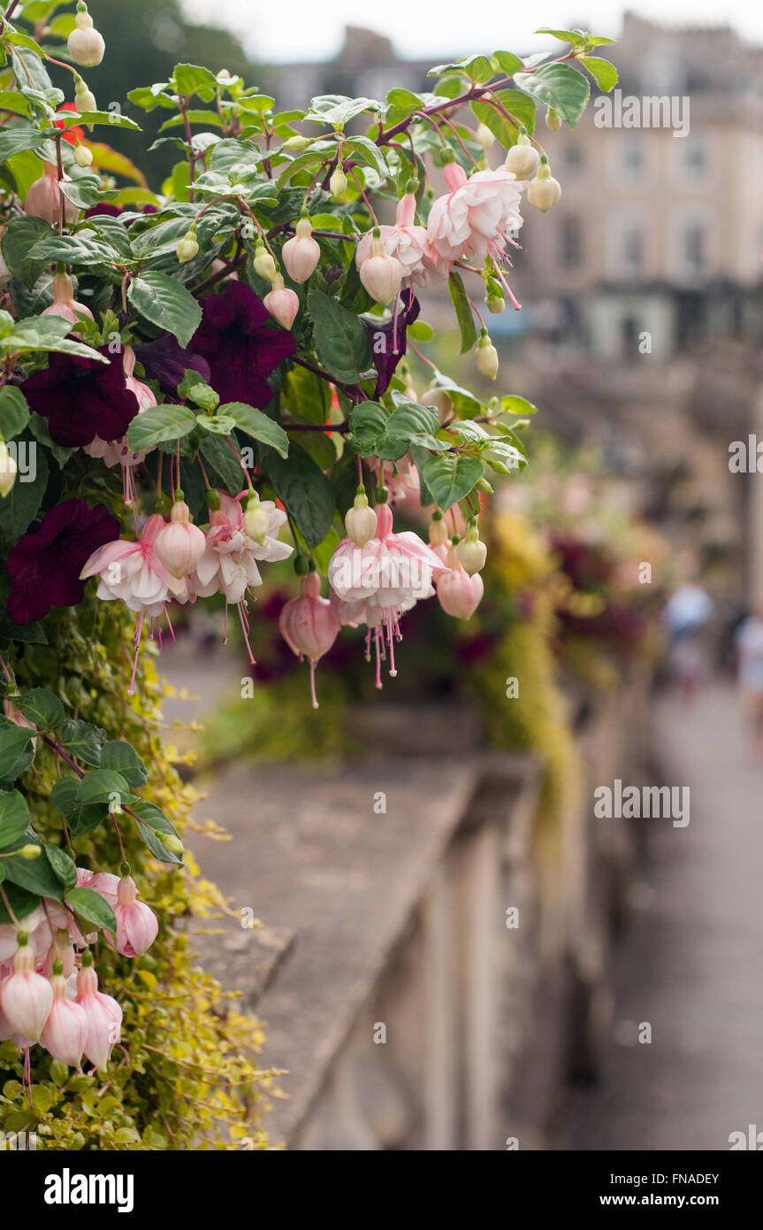 Bathstone wall hires stock photography and images Alamy